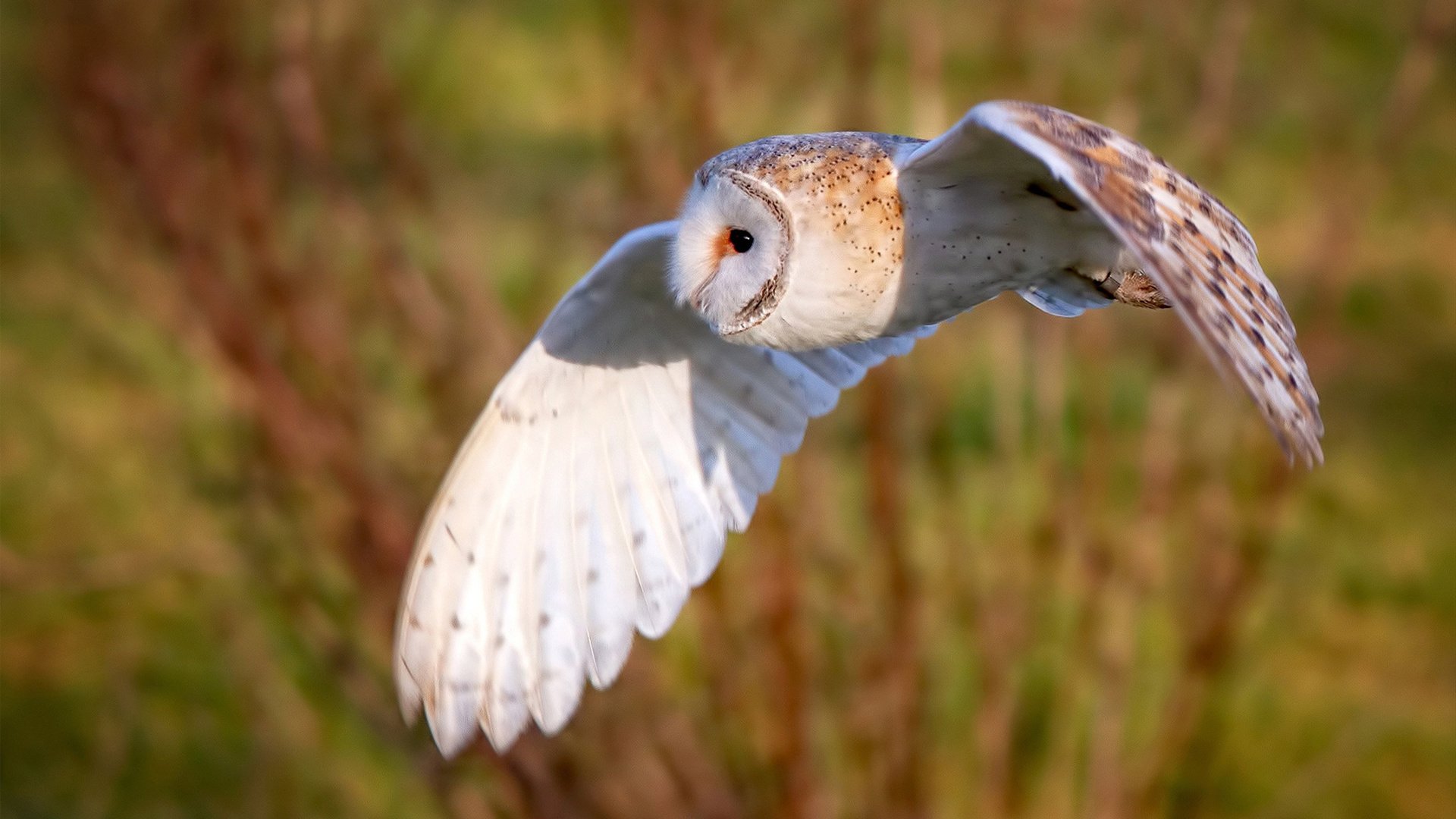 中国足球比赛球员状态，中国队足球比赛球员
