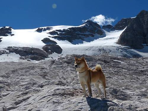 篮球专项体能训练恢复技术及应用探讨,篮球体能训练30种方法及要求文库