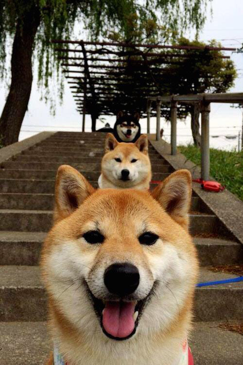 “简阳文体中心羽毛球赛事:技术高超选手争锋决胜”