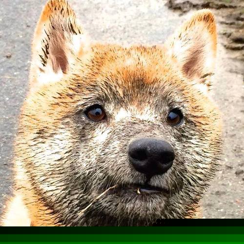 划频波动对成绩影响评估