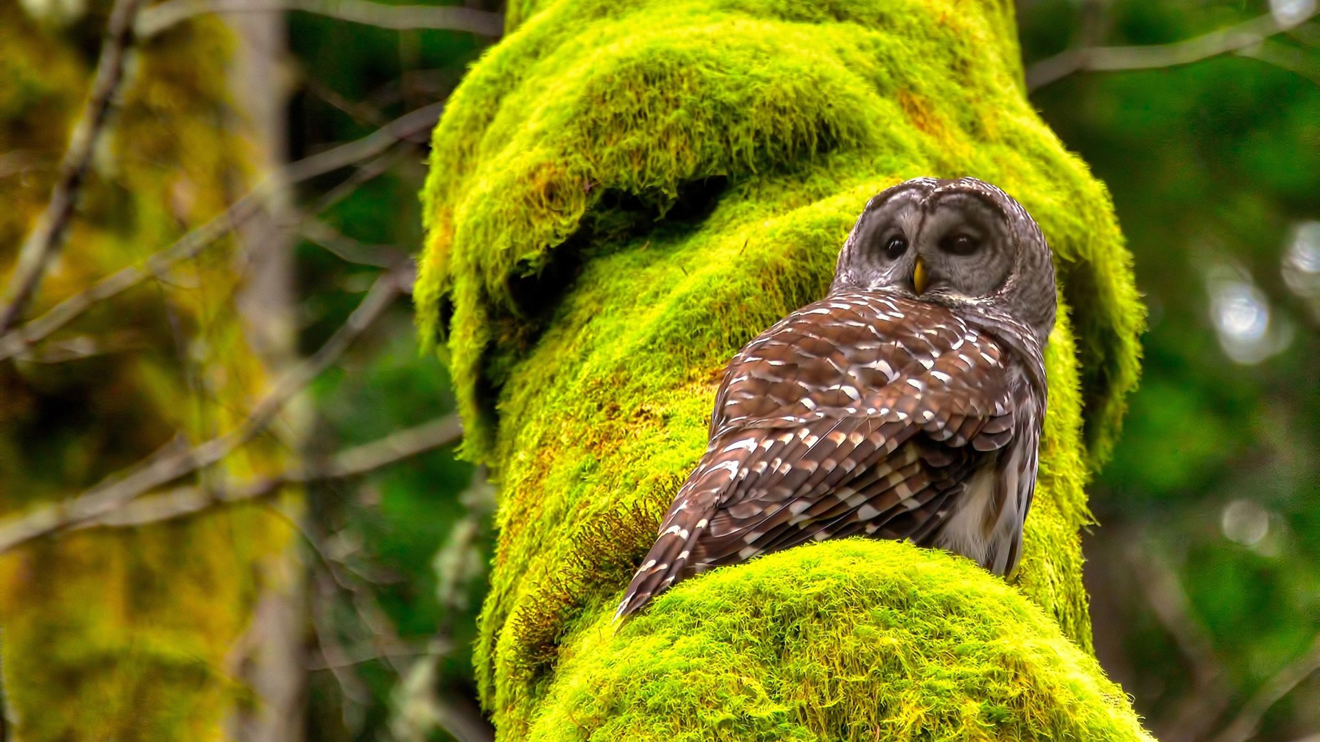 天府新区迎来年度湖滨赛事盛典，变形计十七季主人公
