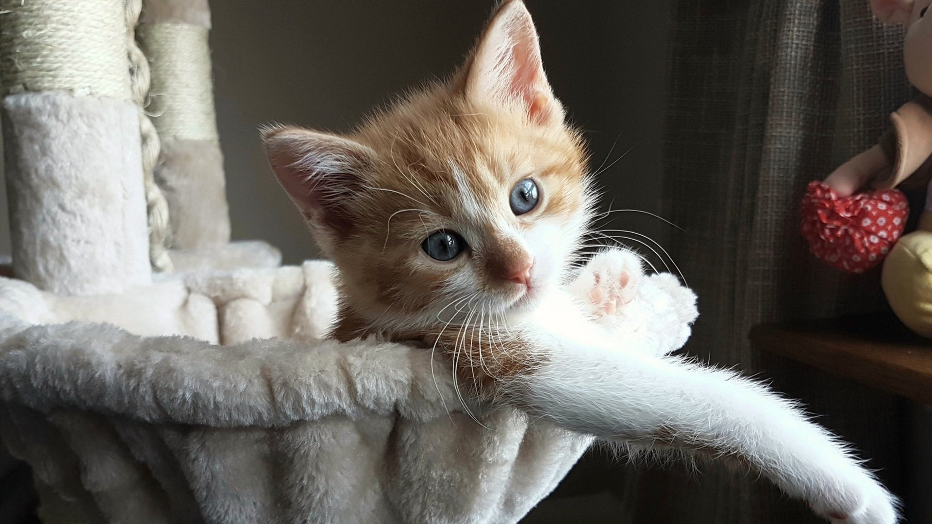 华体会登陆-战队心理咨询室启用为选手减压保驾护航，战队心理辅导师简介