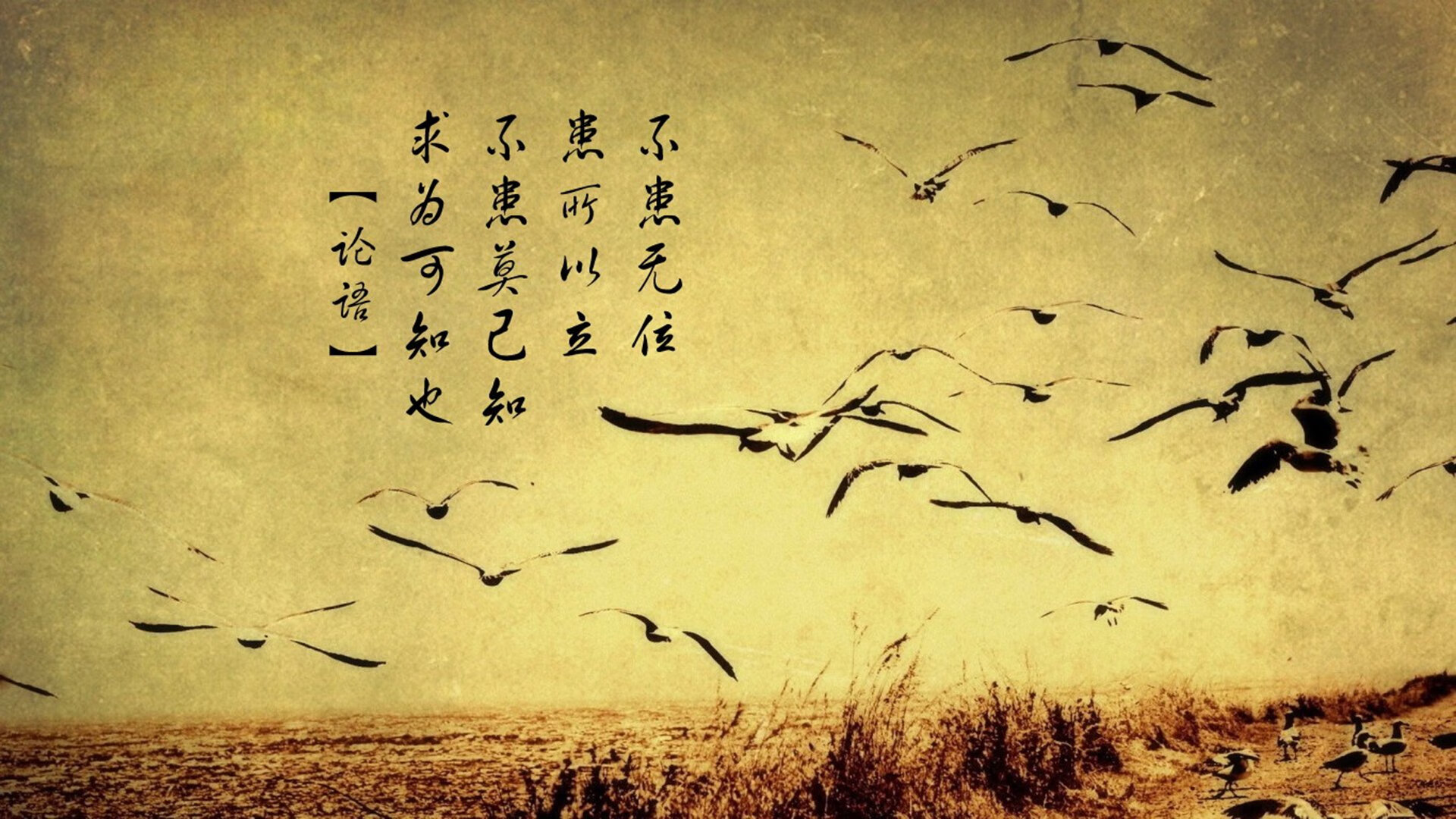 青训设施投入不足，青训设施投入不足原因分析