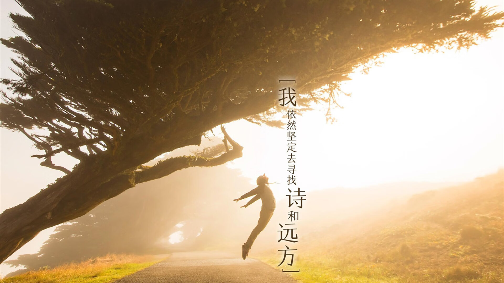 王宗源冲刺阶段表现抢眼,王宗源实力