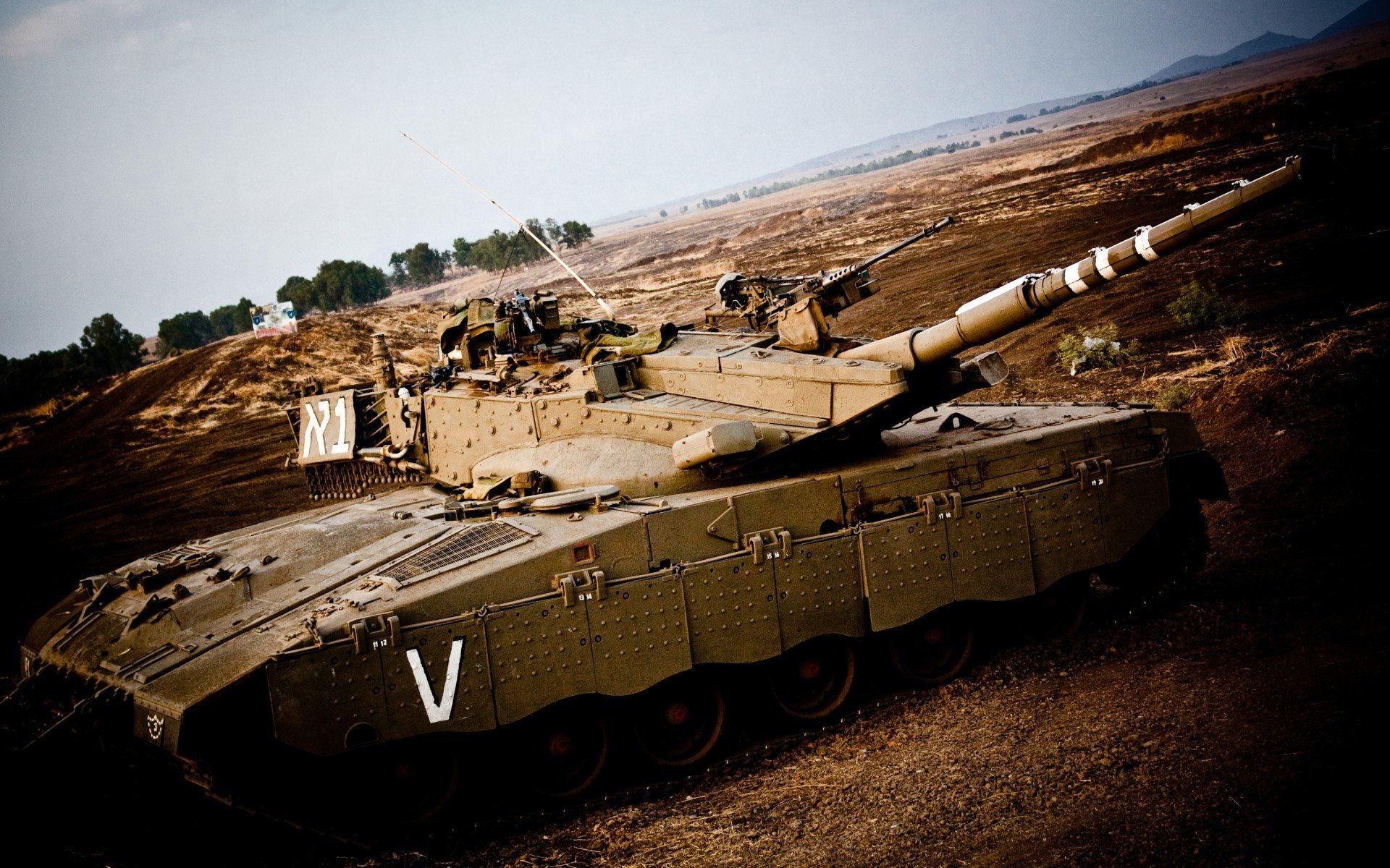 美洲杯明星闪耀：斗志激昂，精彩不断！，美洲杯原名