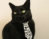 陈艺文:比赛就是不断挑战极限,陈艺文获得金牌