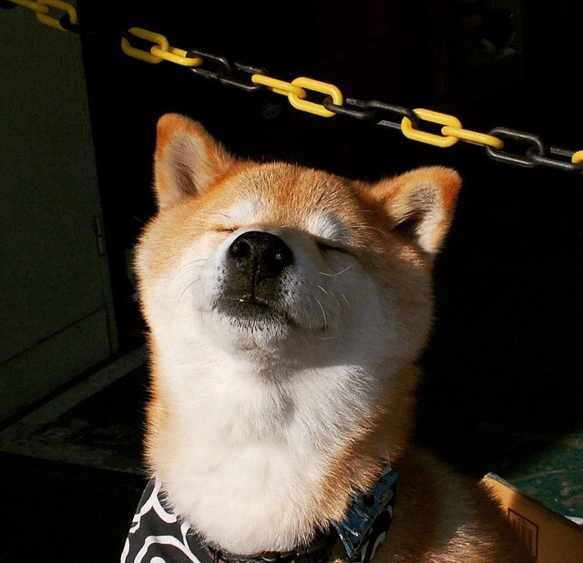 五大联赛主力轮换策略逐渐智能化，五大联赛转会市场