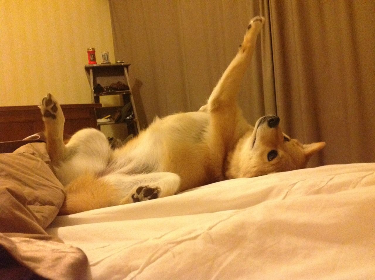 五大联赛阵容平均年龄变化揭示建队思路,五大联赛平均身价