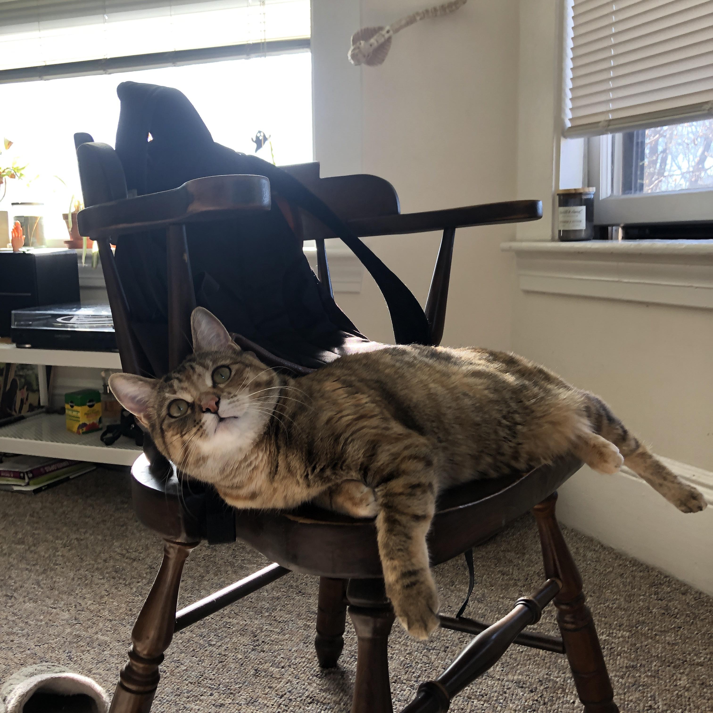 体育新闻中心构建新时代运动传播体系,体育新闻专题报道