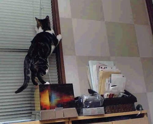 体育艺术创作展览展现运动与美学结合，体育文化艺术作品