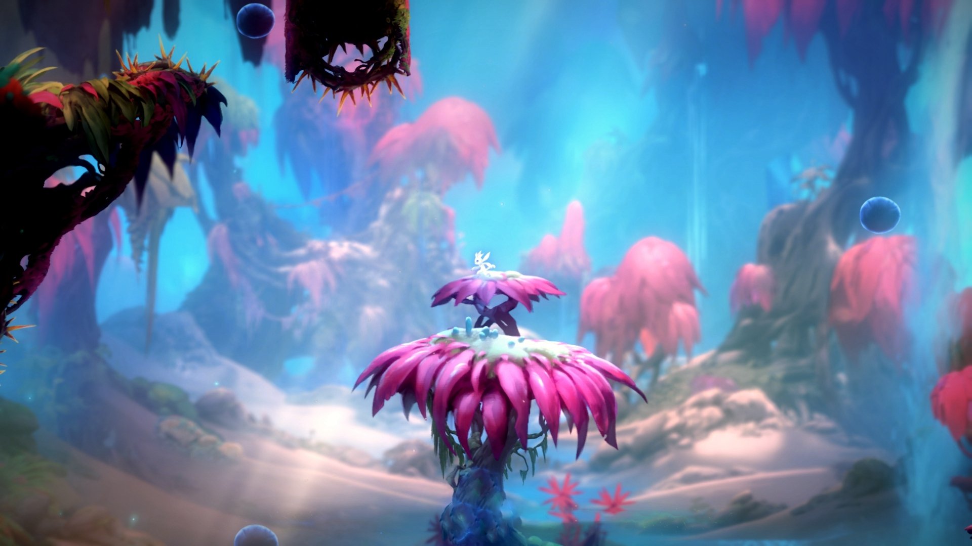 俱乐部创新青少年运动:“素养+能力”双轮驱动的成长航道