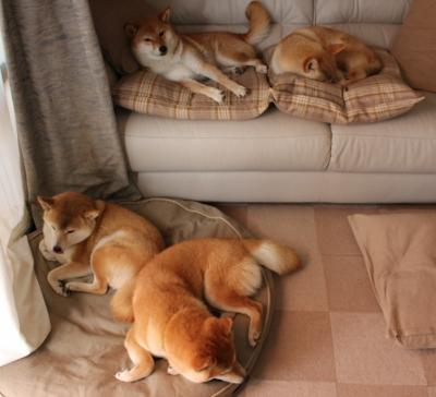 切尔西管理层称赞球队执行力,切尔西是顶级球队